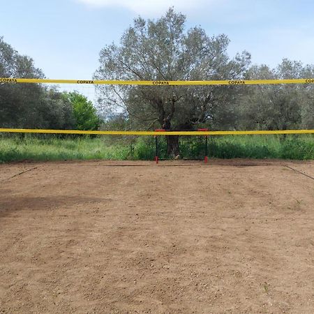 Casale Citerno Lägenhet Bolsena Exteriör bild