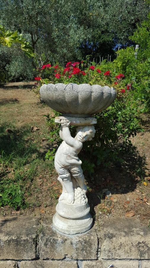 Casale Citerno Lägenhet Bolsena Exteriör bild