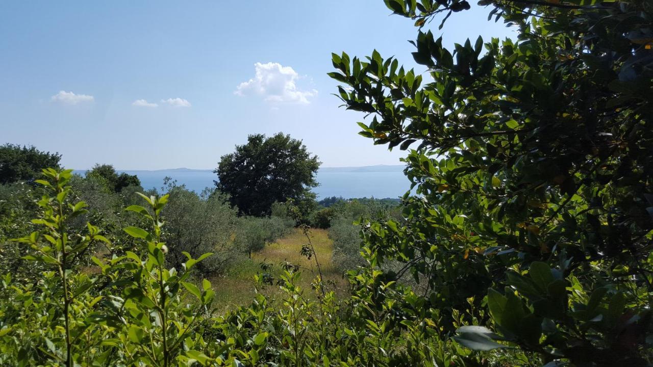 Casale Citerno Lägenhet Bolsena Exteriör bild